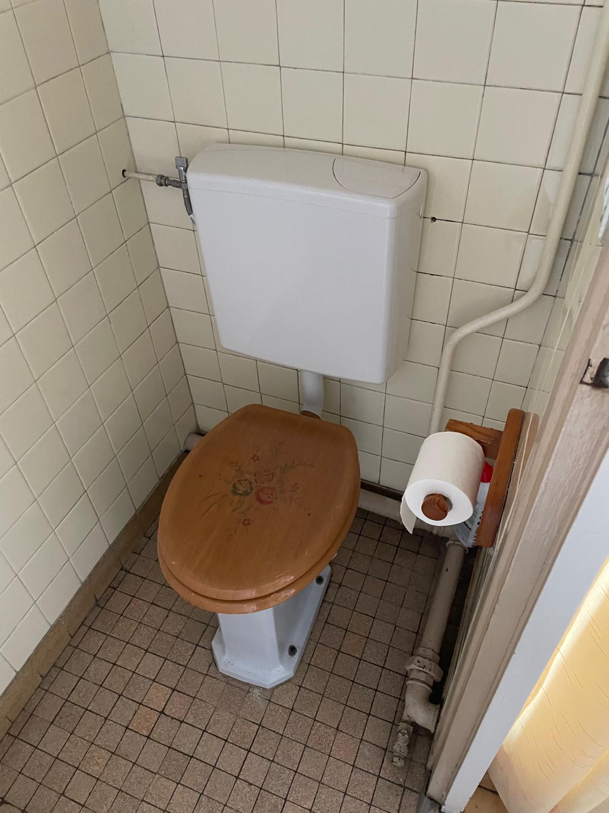 Avant rénovation - WC